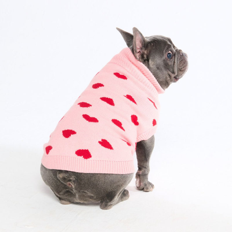 Hearts Knit Dog Sweater
