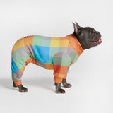 Dog Pajama - Checkered Mix