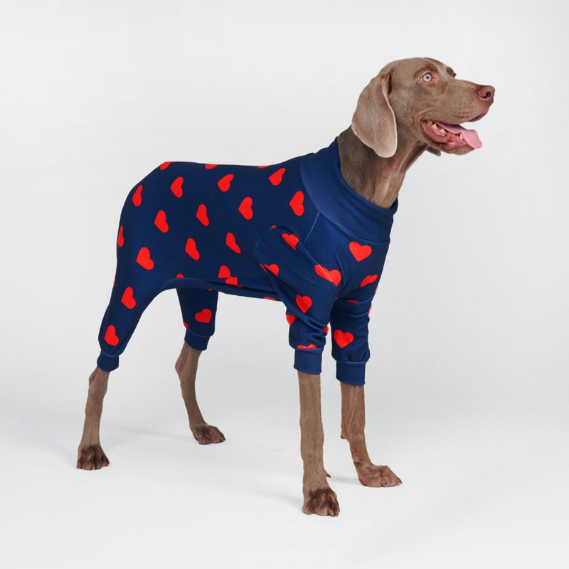 Dog Pajamas - Prints