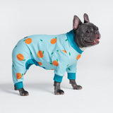 Dog Pajamas - Prints