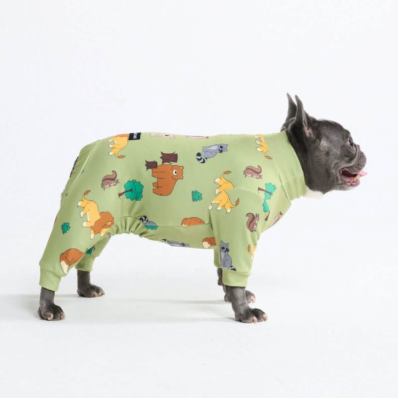 Forest Animals PJ