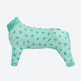 Cactus PJ