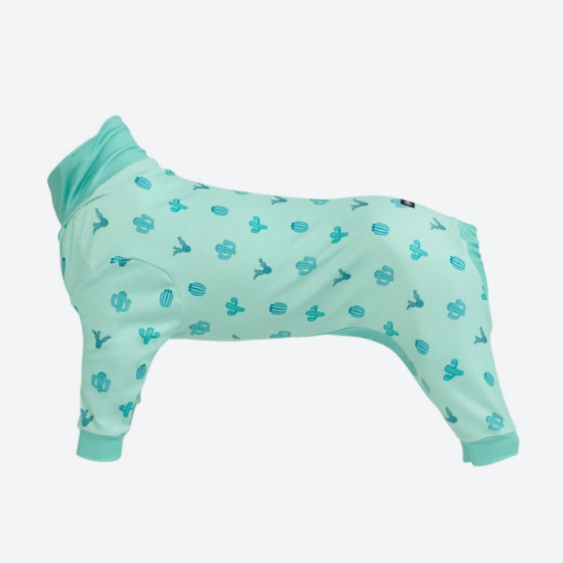 Cactus PJ