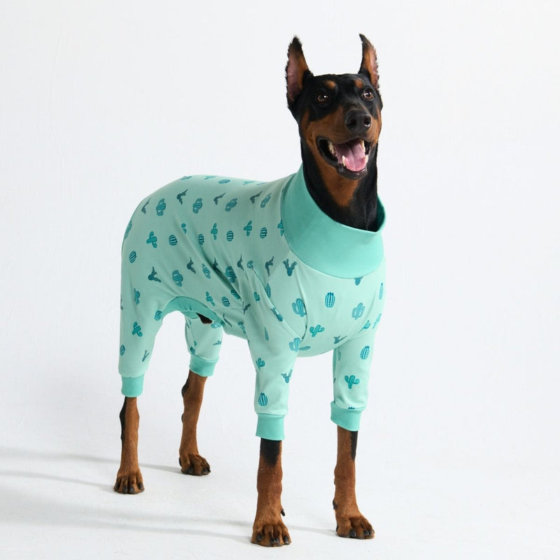Cactus PJ