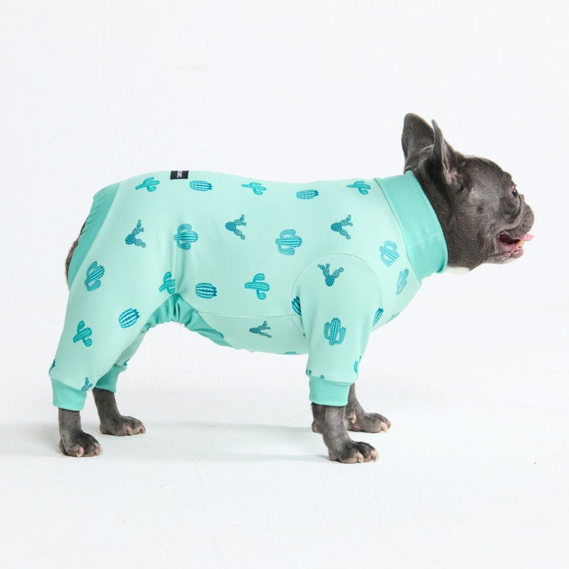 Cactus PJ