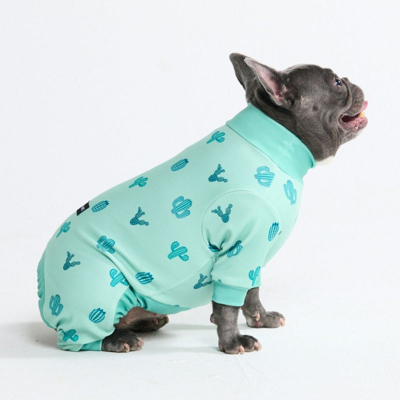 Cactus PJ