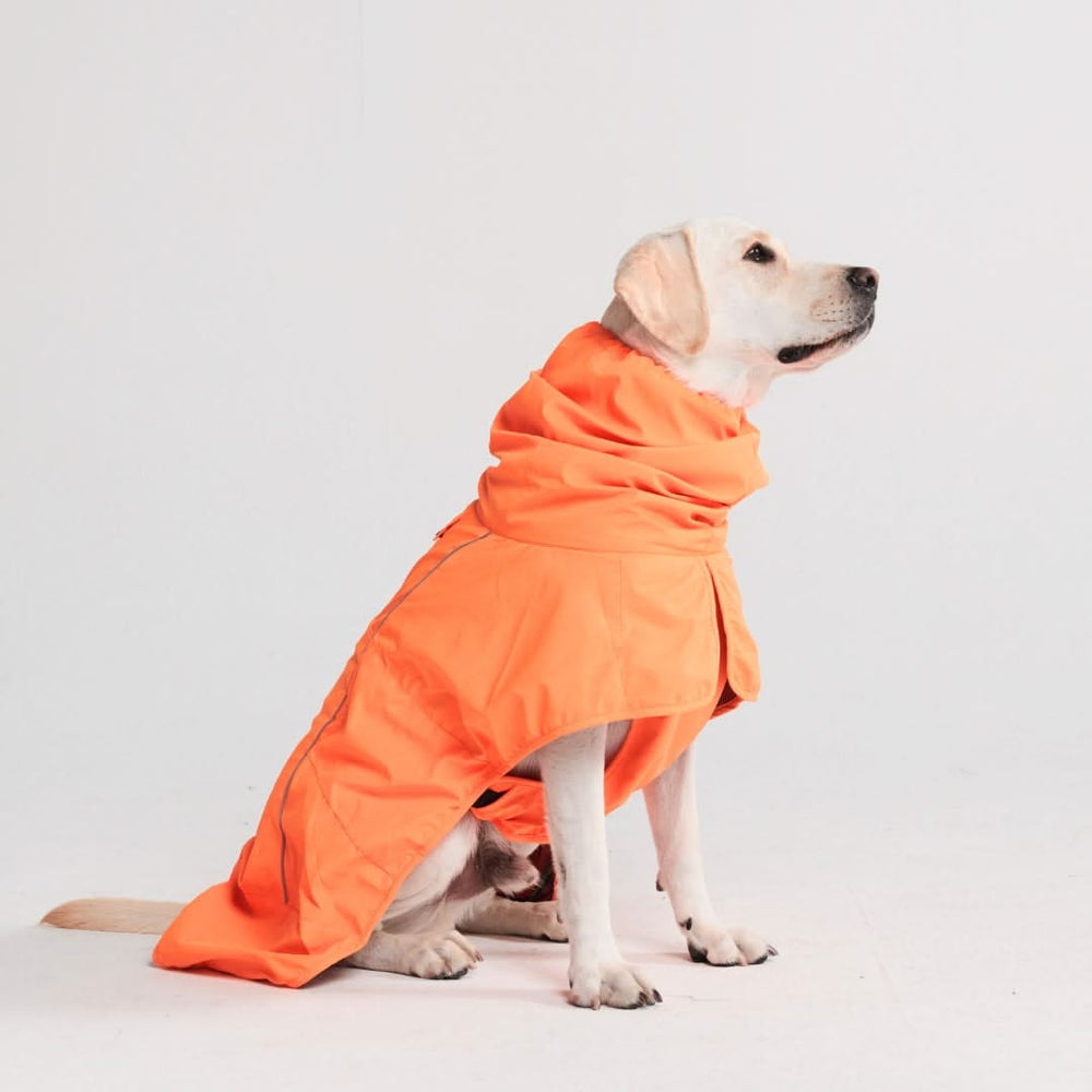Raincoat for labrador retriever 2025