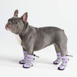 Flex Shell Water-resistant Dog Boots - Lilac