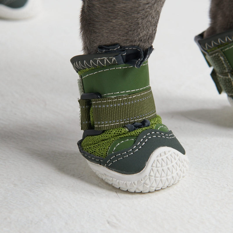 Turf dogs shoes cheap