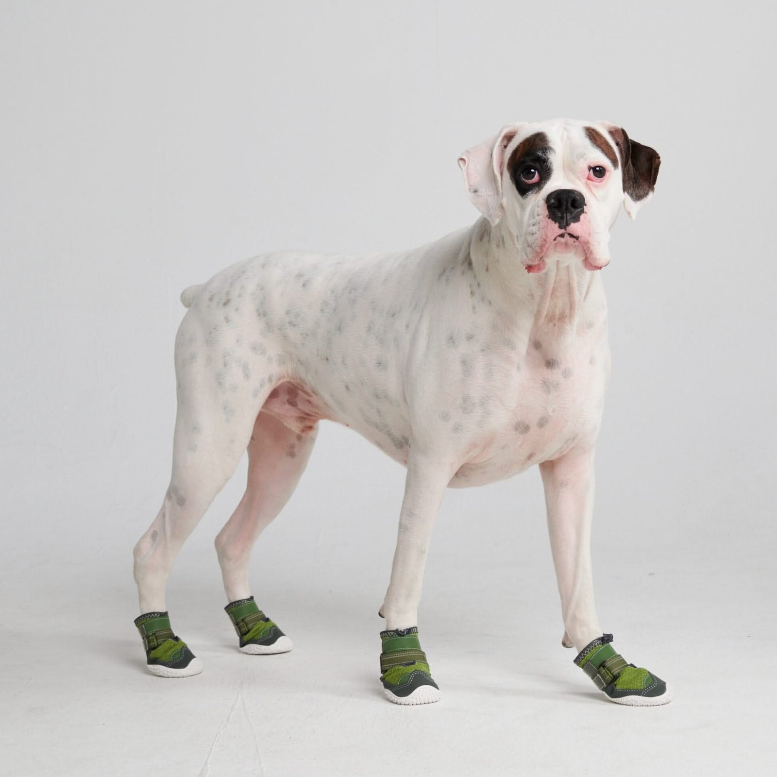 Hot Pavement Pawtector Dog Shoes Green SPARK PAWS