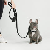 Tactical Dog Collar Set - Multi Color (1.5"/4cm)