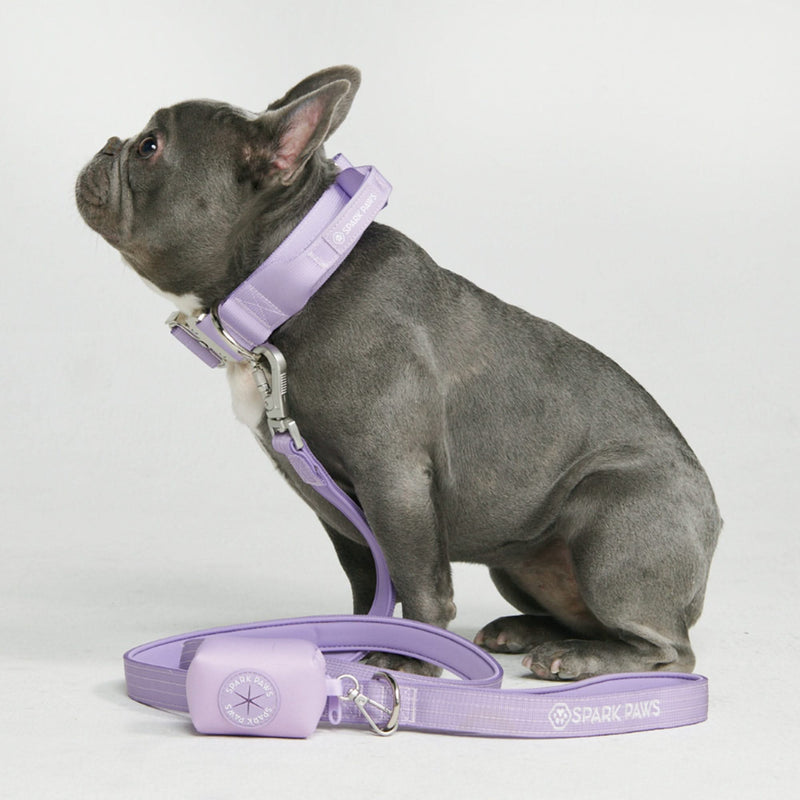 Tactical Dog Collar Set - Multi Color (1.5"/4cm)