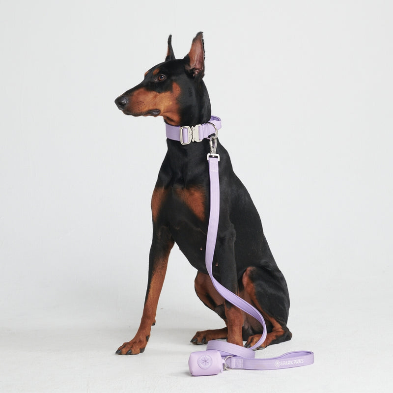 Tactical Dog Collar Set - Lilac (1.5"/4cm)