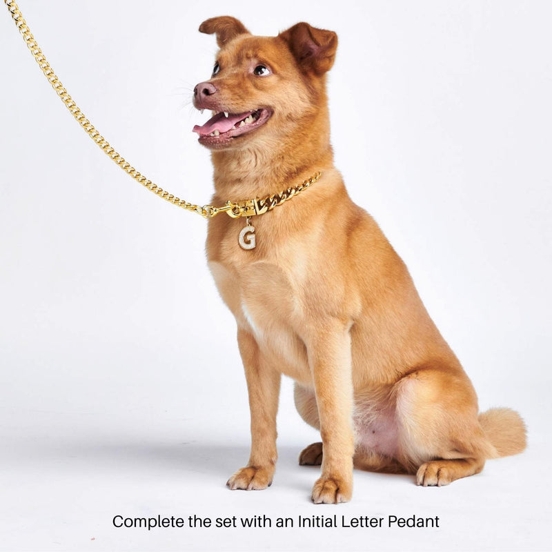 gold dog chain