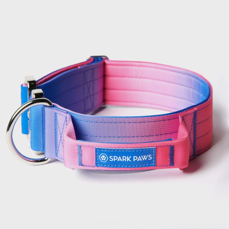 Comfort Control Collar Set - Snow Cone