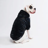 Velvet Dog Hoodie - Obsidian Black