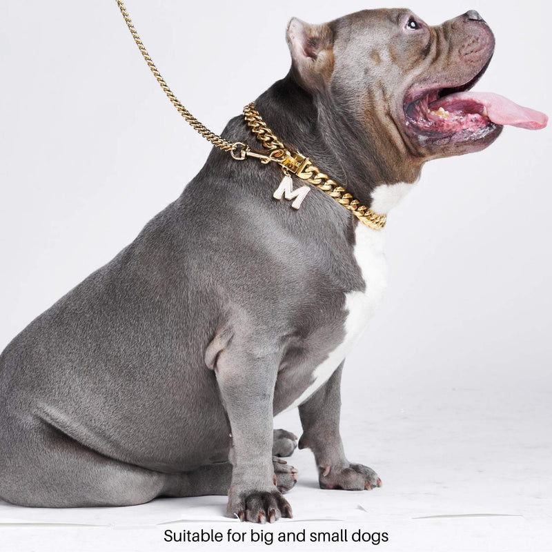 gold chain dog collar