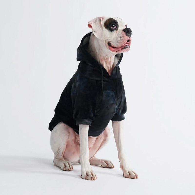 Velvet Dog Hoodie - Obsidian Black