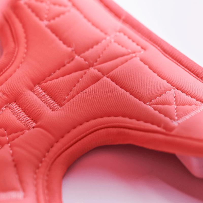 Comfort Control Harness - Pink- [SIZE S] dogs up to 20kg/45lb