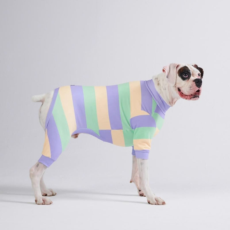 Dog Pajama - Purple Green Yellow