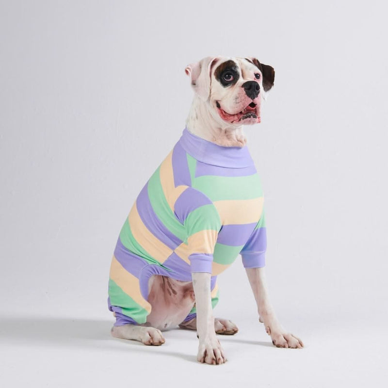 Dog Pajama - Purple Green Yellow