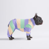 Dog Pajama - Purple Green Yellow