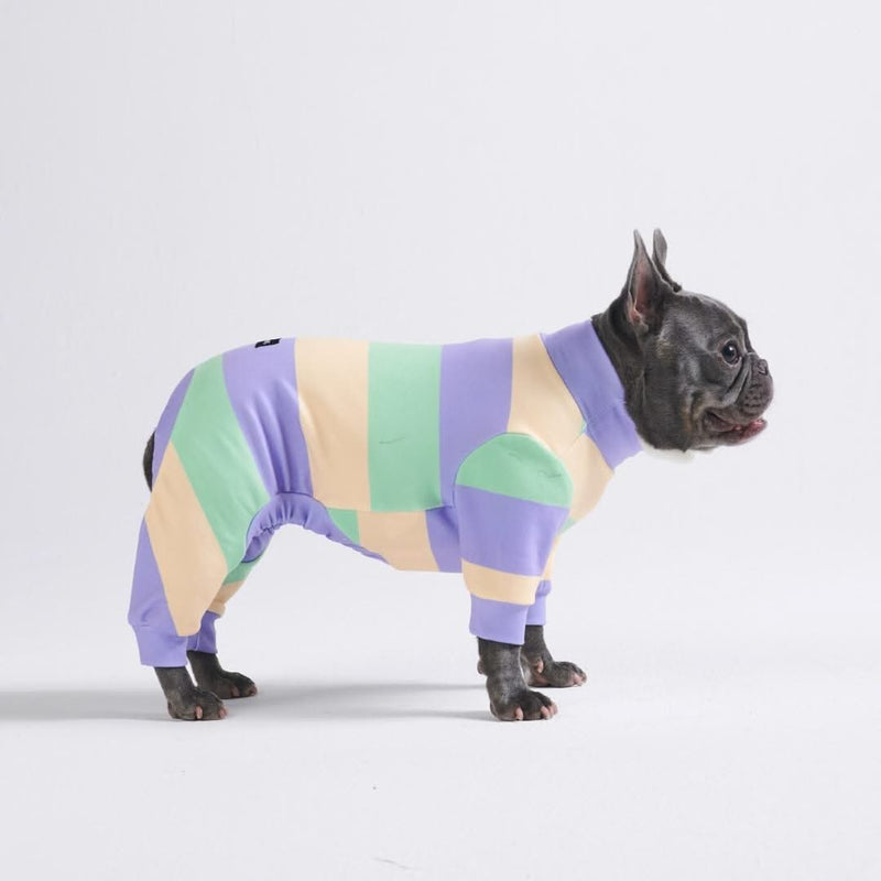 Dog Pajama - Purple Green Yellow