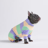 Dog Pajama - Purple Green Yellow