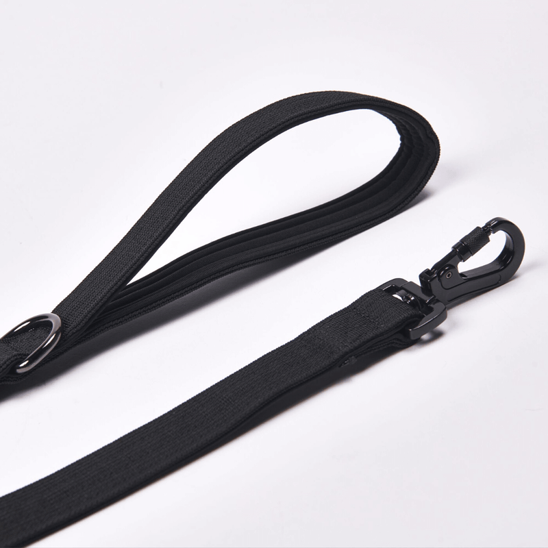 Comfort Control Dog Leash - Black