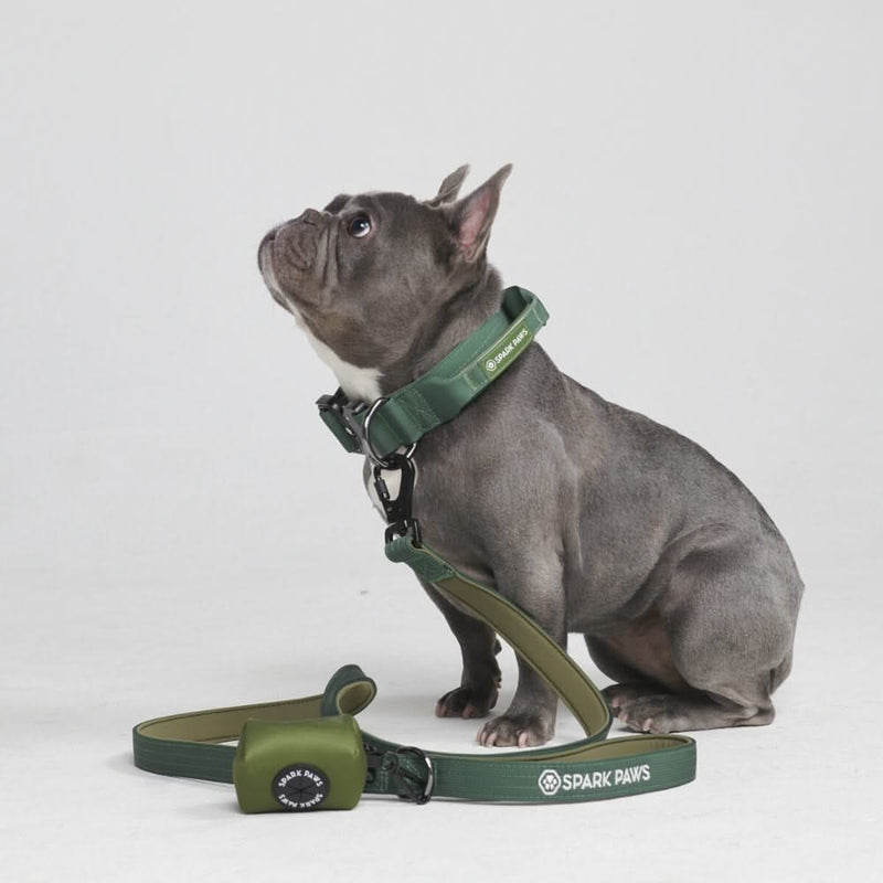 Tactical Dog Collar Set - Army Green (1.5"/4cm)