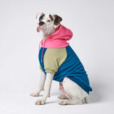 Recess Dog Hoodie