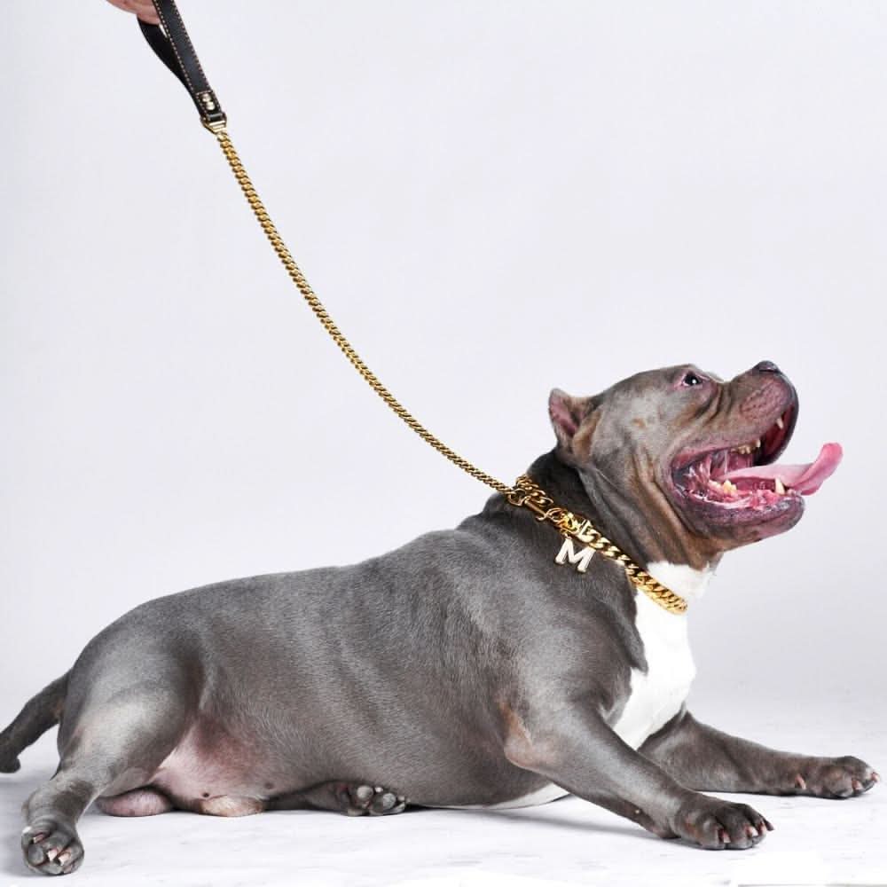 Chain link leash discount