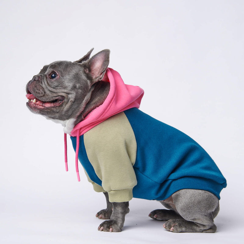Recess Dog Hoodie