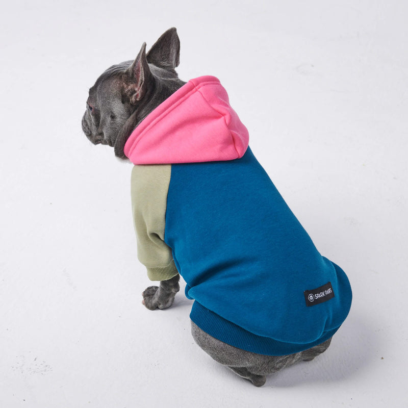 Recess Dog Hoodie