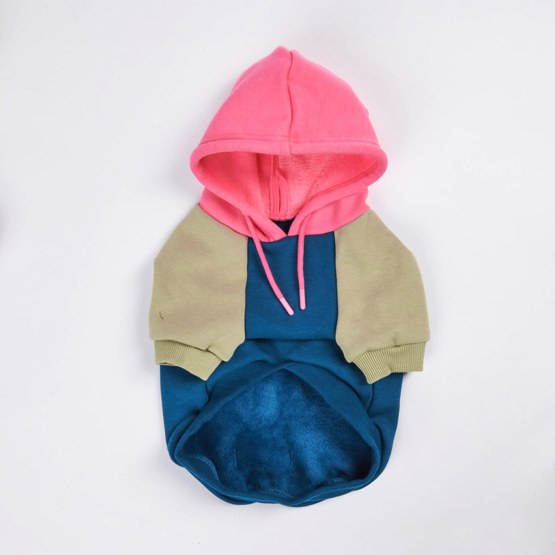 Recess Dog Hoodie