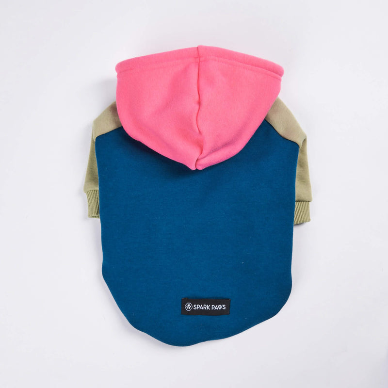 Recess Dog Hoodie