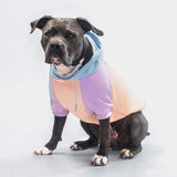 Cotton Candy Dog Hoodie