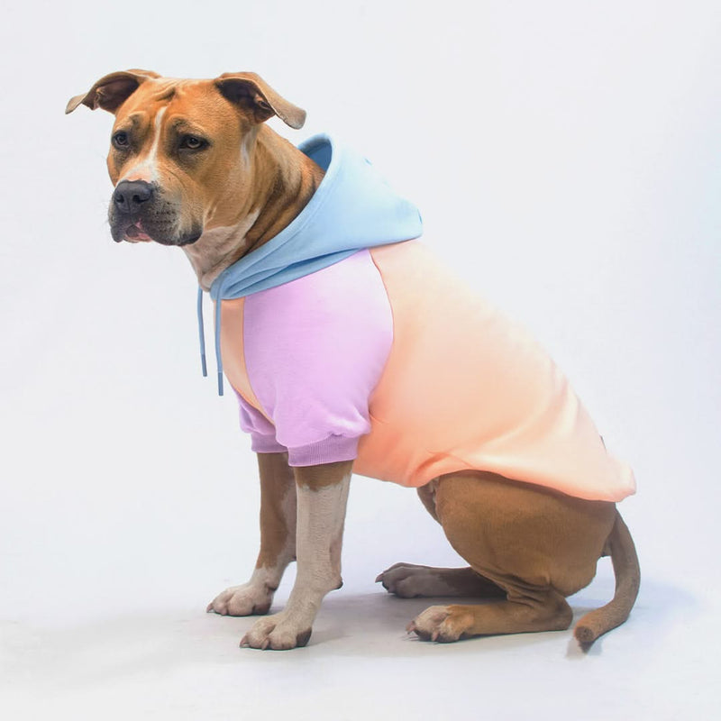 Cotton Candy Dog Hoodie