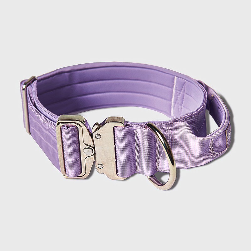 Comfort Control Collar Set - Lilac