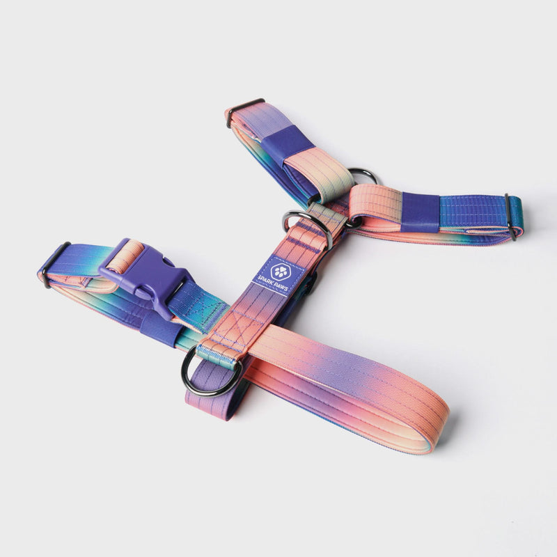 Comfort Control No-Pull Dog Harness - Kaleidoscope