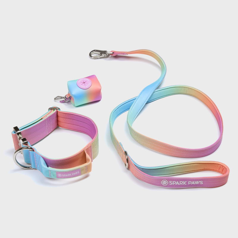 Comfort Control Dog Leash - Pastel Icing