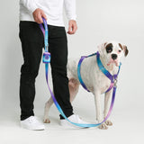 Comfort Control Dog Leash - 90s Retro