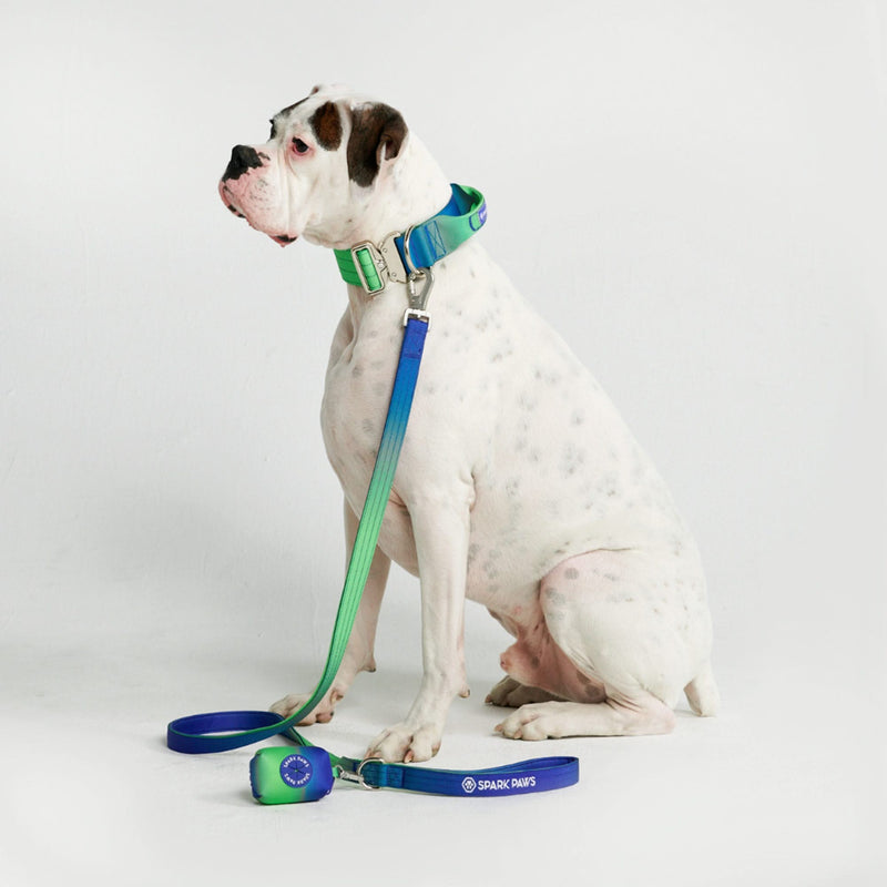 Comfort Control Collar Set - Lime Wave