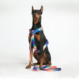 Comfort Control No-Pull Dog Harness - Kaleidoscope