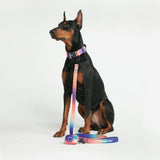 Tactical Dog Collar Set - Kaleidoscope (1.5"/4cm)