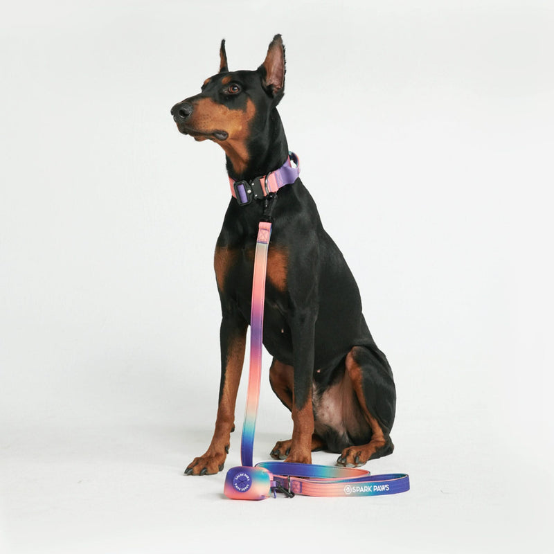 Tactical Dog Collar Set - Kaleidoscope (1.5"/4cm)