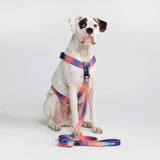 Comfort Control Dog Leash - Kaleidoscope