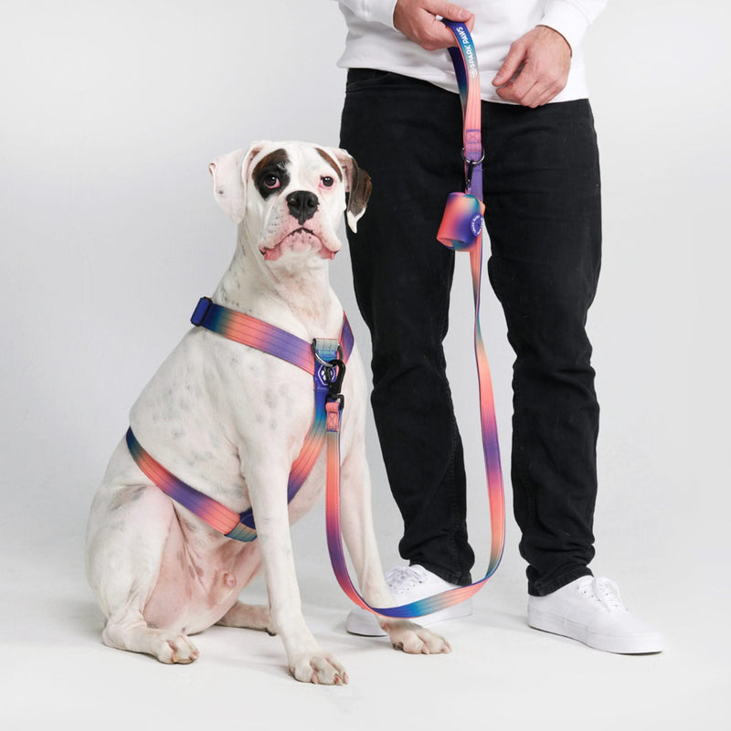 Comfort Control No-Pull Dog Harness - Kaleidoscope