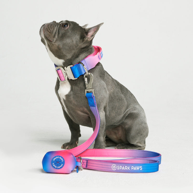 Tactical Dog Collar Set - Snow Cone (1.5"/4cm)