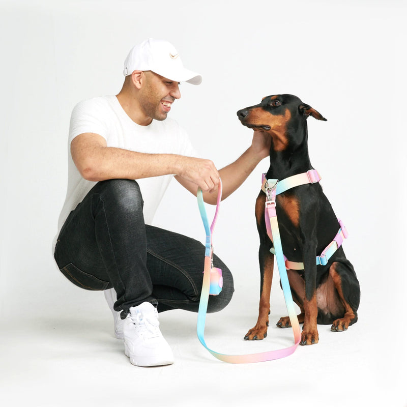 Comfort Control No-Pull Dog Harness - Pastel Icing